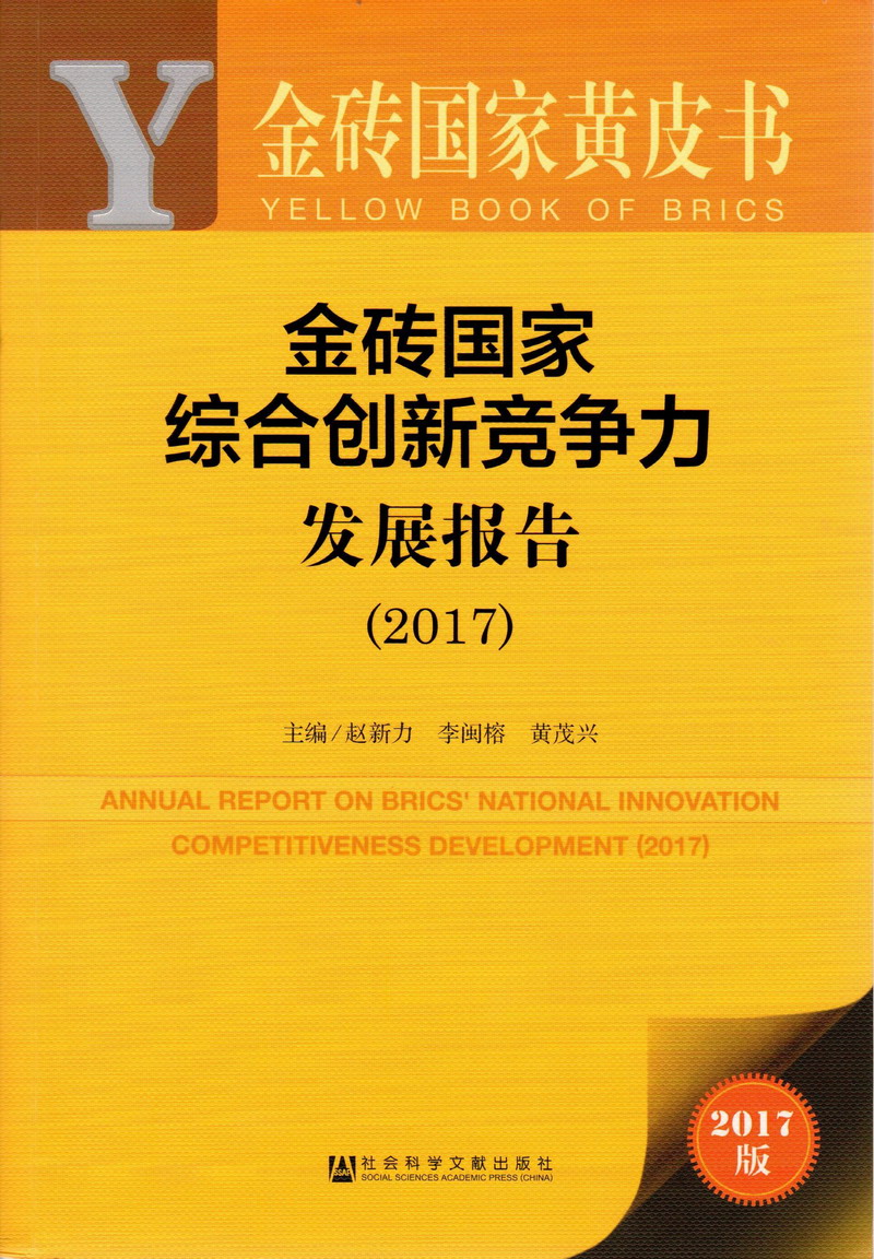 美女让男人操她那粉嫩小水穴金砖国家综合创新竞争力发展报告（2017）